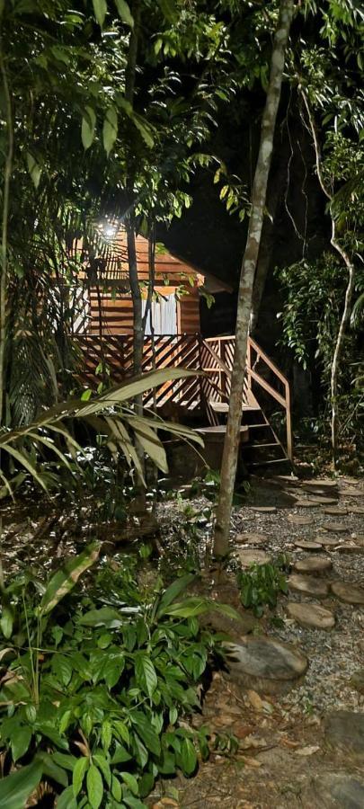 Готель Refugio Samauma Манаус Екстер'єр фото